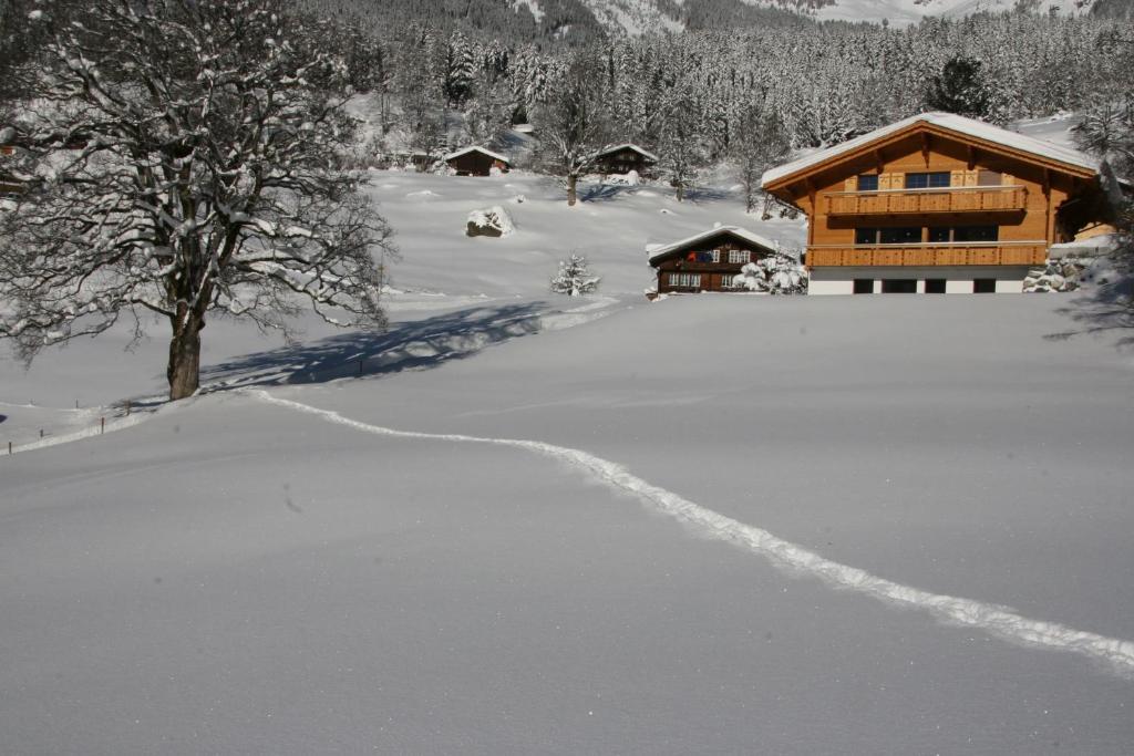 Chalet Baergbaechli Гриндельвальд Экстерьер фото